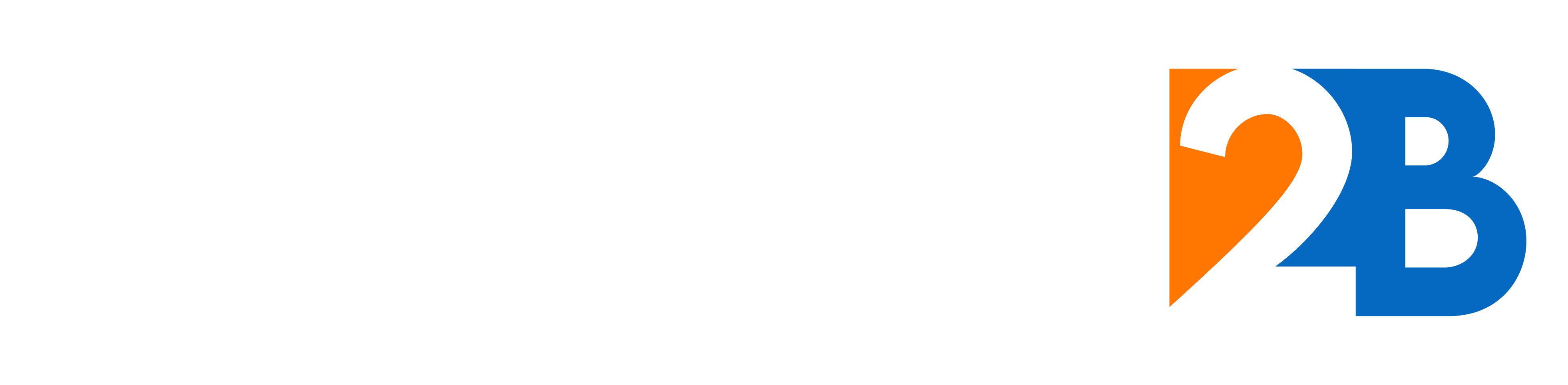 Wholesale2B logo